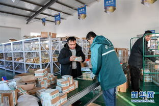 打造產業(yè)園區(qū)，賦能農產品銷售，構建電子商務新生態(tài)